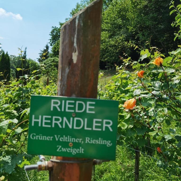 Privatzimmer Am Weinbrunnen Vorchdorf Esterno foto