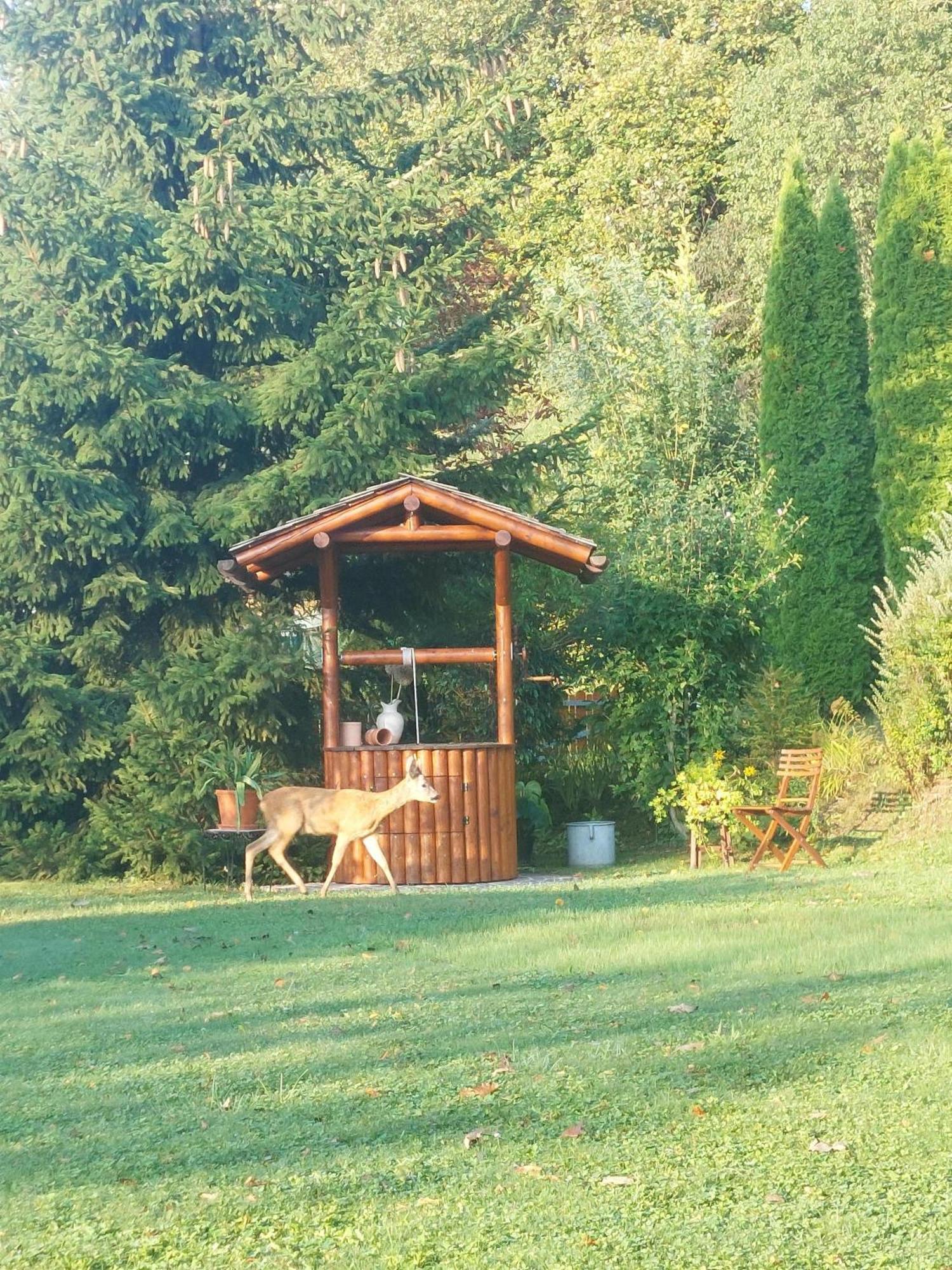 Privatzimmer Am Weinbrunnen Vorchdorf Esterno foto